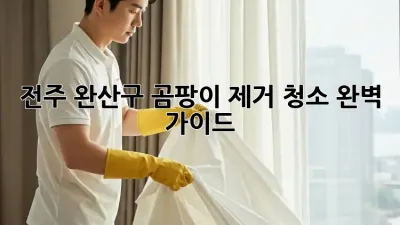 전주 완산구 곰팡이 제거 청소 완벽 가이드