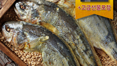 영광 법성포 5개입 보리굴비: 솔직 후기와 꿀팁 대방출! ✨