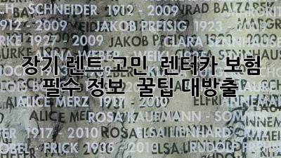 장기 렌트 고민? 🤔 렌터카 보험 필수 정보 & 꿀팁 대방출!
